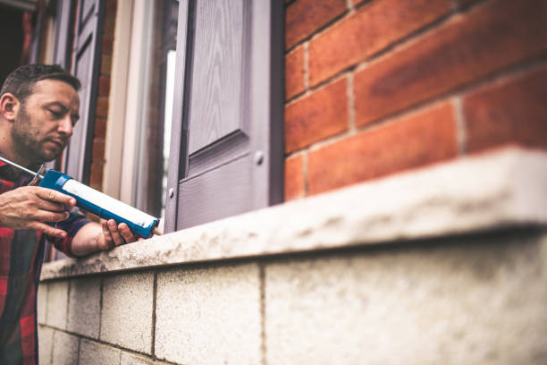 Best Attic Insulation Installation  in Appleton, WI