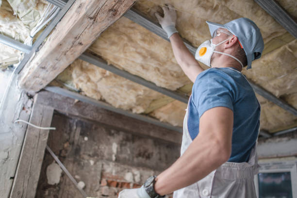 Best Attic Insulation Installation  in Appleton, WI