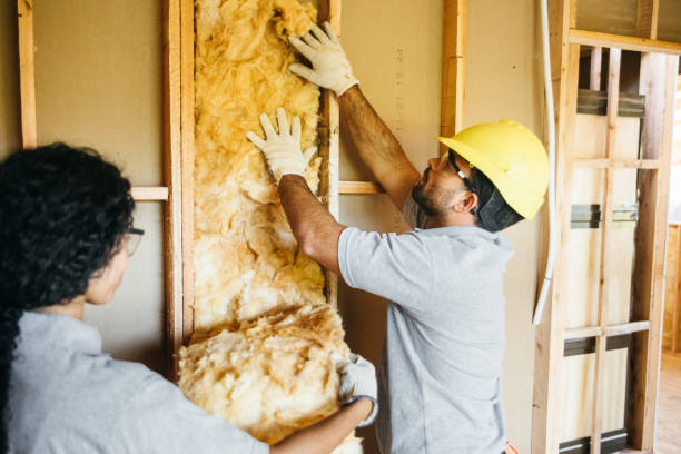 Best Best Insulation Companies  in Appleton, WI