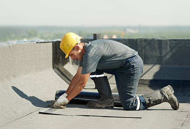 Best Home Insulation Services  in Appleton, WI