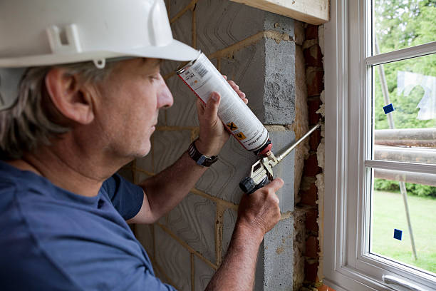 Best Insulation Inspection Services  in Appleton, WI