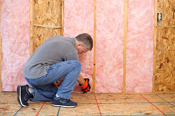 Best Insulation Contractor Near Me  in Appleton, WI