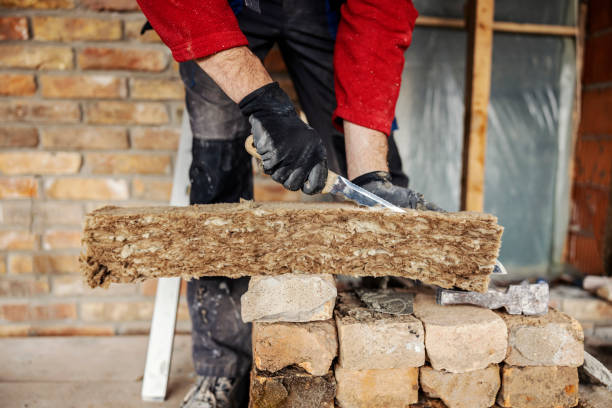 Best Energy-efficient Insulation  in Appleton, WI