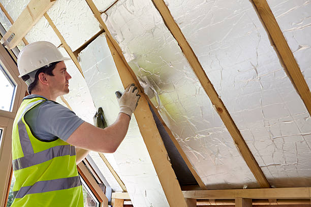 Best Affordable Insulation Services  in Appleton, WI